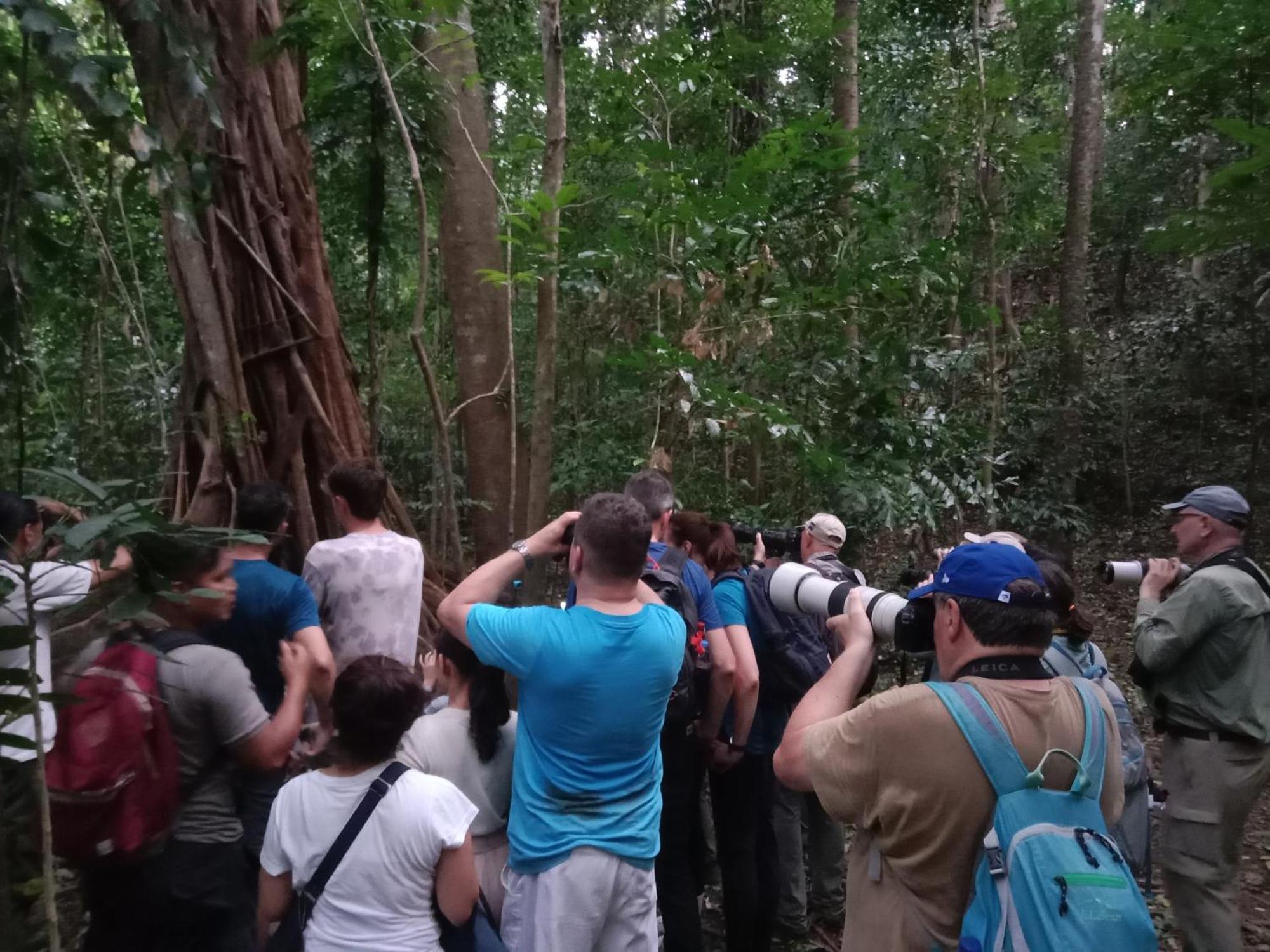 Tangkoko Backpacker Home Stay Rinondoran 외부 사진
