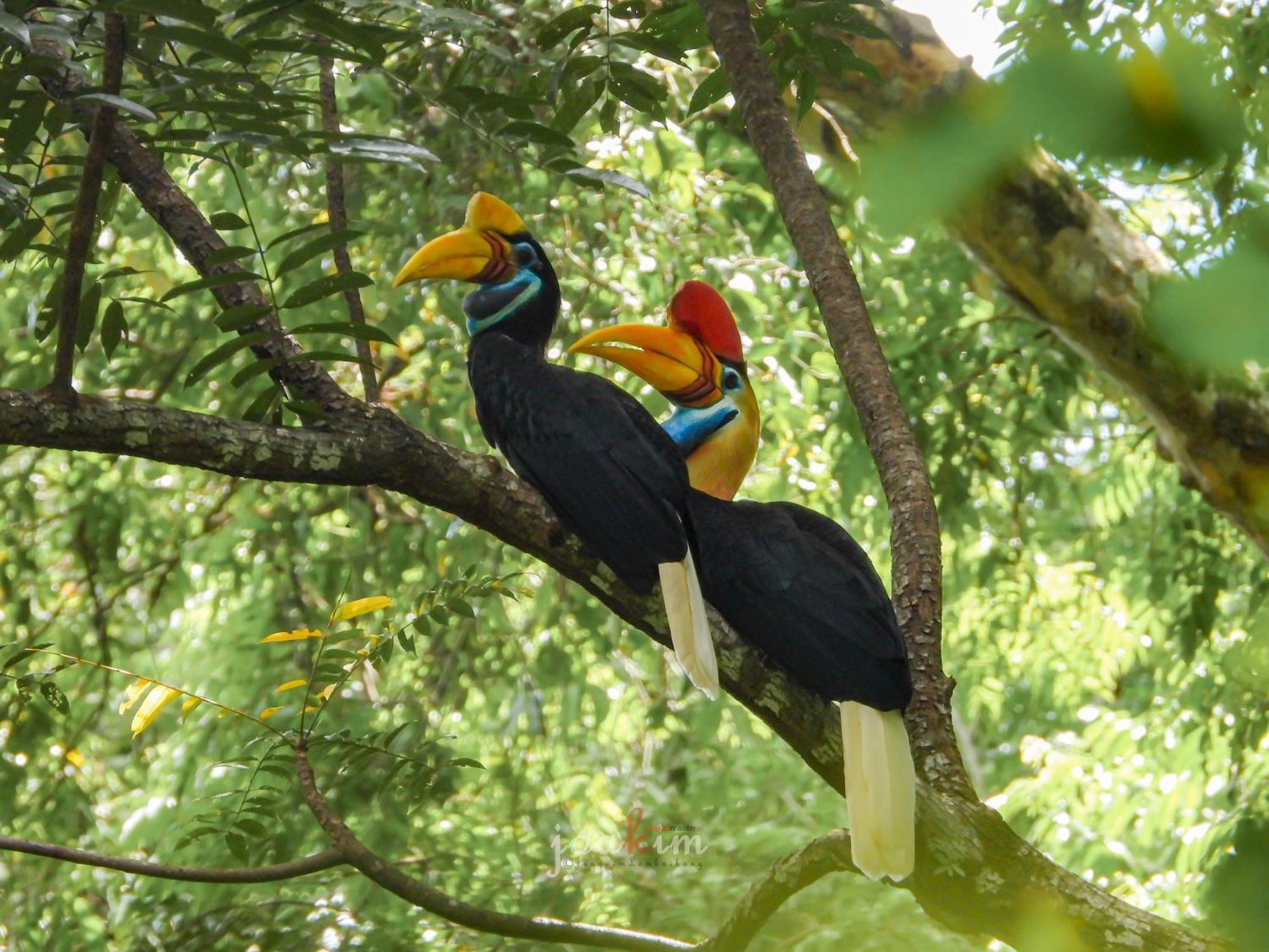 Tangkoko Backpacker Home Stay Rinondoran 외부 사진