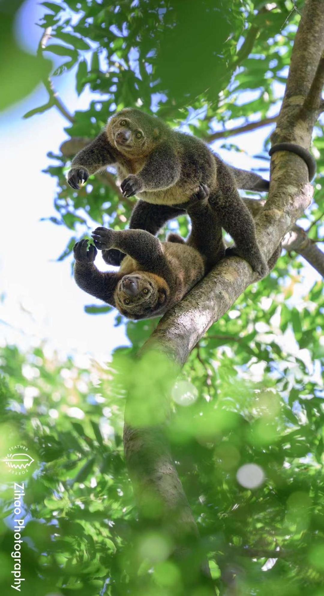 Tangkoko Backpacker Home Stay Rinondoran 외부 사진