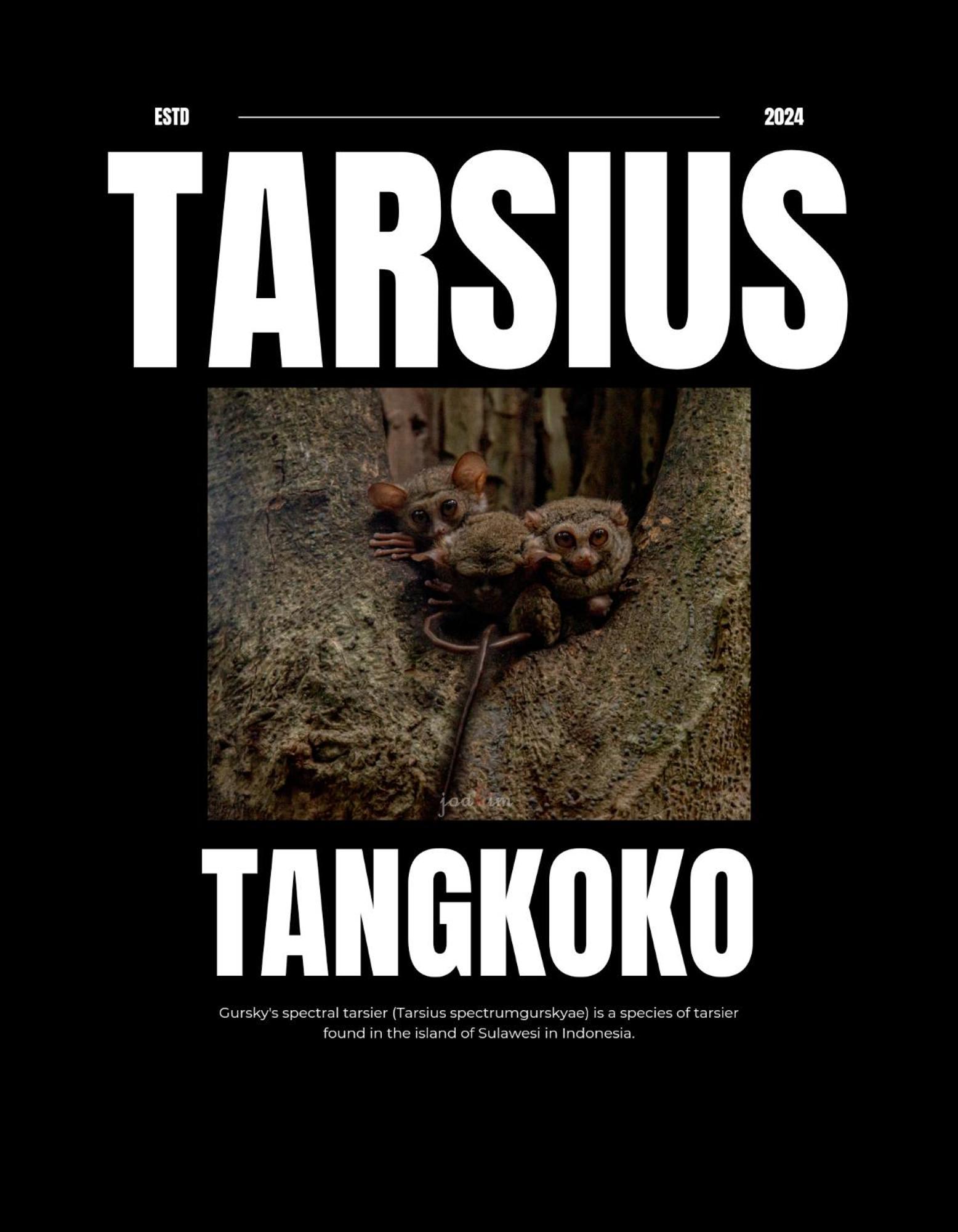 Tangkoko Backpacker Home Stay Rinondoran 외부 사진